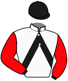casaque portée par Le Beller Mlle E. jockey du cheval de course LOTUS DE BLAY, information pmu ZETURF