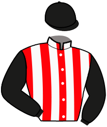 casaque portée par Piton J. Ch. jockey du cheval de course JOYAUX DES ILES, information pmu ZETURF casaque portée par Piton J. Ch. jockey du cheval de course JOYAUX DES ILES, information pmu ZETURF