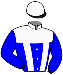 casaque portée par Nivard F. jockey du cheval de course EMIRO CLEMAR, information pmu ZETURF