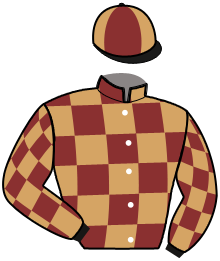 casaque portée par Nivard F. jockey du cheval de course ZIGULI DEI GREPPI, information pmu ZETURF