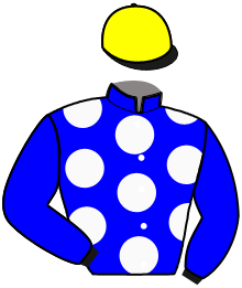 casaque portée par Barrier A. jockey du cheval de course LUMINEUX, information pmu ZETURF