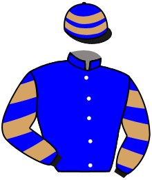 casaque portée par Renard A. jockey du cheval de course GRANDBAT, information pmu ZETURF casaque portée par Renard A. jockey du cheval de course GRANDBAT, information pmu ZETURF