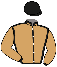 casaque portée par De Giles F. jockey du cheval de course CHLOE DU BERLAIS, information pmu ZETURF casaque portée par De Giles F. jockey du cheval de course CHLOE DU BERLAIS, information pmu ZETURF