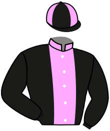 casaque portée par Gallon D. jockey du cheval de course MONTAURY, information pmu ZETURF casaque portée par Gallon D. jockey du cheval de course MONTAURY, information pmu ZETURF