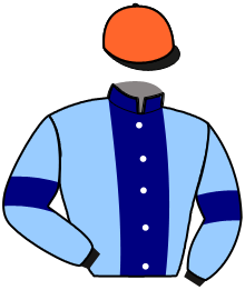 casaque portée par Lefevre David jockey du cheval de course J'ADORE BLUE, information pmu ZETURF casaque portée par Lefevre David jockey du cheval de course J'ADORE BLUE, information pmu ZETURF