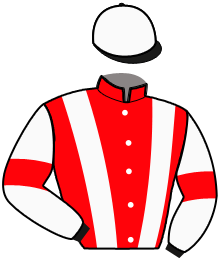 casaque portée par Ploquin Pau. Ph. jockey du cheval de course HIMEROS DU GOUTIER, information pmu ZETURF