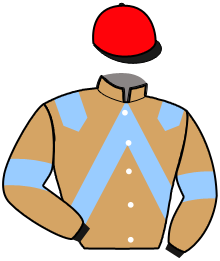 casaque portée par Garcon M. jockey du cheval de course JALIENORTH GAME, information pmu ZETURF casaque portée par Garcon M. jockey du cheval de course JALIENORTH GAME, information pmu ZETURF