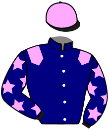 casaque portée par Garandeau A. jockey du cheval de course MAMBO NAM, information pmu ZETURF casaque portée par Garandeau A. jockey du cheval de course MAMBO NAM, information pmu ZETURF