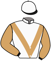 casaque portée par Santiago Mlle D. jockey du cheval de course MAGNETIQUE, information pmu ZETURF casaque portée par Santiago Mlle D. jockey du cheval de course MAGNETIQUE, information pmu ZETURF