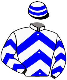 casaque portée par Zuliani L. jockey du cheval de course MEMORIES, information pmu ZETURF casaque portée par Zuliani L. jockey du cheval de course MEMORIES, information pmu ZETURF