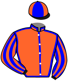 casaque portée par Gaignard Q. jockey du cheval de course ECHALLE, information pmu ZETURF casaque portée par Gaignard Q. jockey du cheval de course ECHALLE, information pmu ZETURF