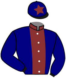 casaque portée par Gautron A. jockey du cheval de course TI'PUNCH DES ILES, information pmu ZETURF casaque portée par Gautron A. jockey du cheval de course TI'PUNCH DES ILES, information pmu ZETURF