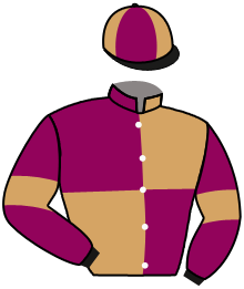 casaque portée par Frost Mlle B. jockey du cheval de course TRENT LANE, information pmu ZETURF casaque portée par Frost Mlle B. jockey du cheval de course TRENT LANE, information pmu ZETURF