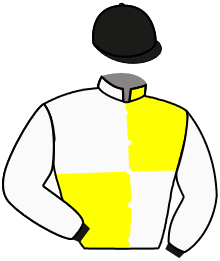 casaque portée par De Giles F. jockey du cheval de course LEGREC, information pmu ZETURF casaque portée par De Giles F. jockey du cheval de course LEGREC, information pmu ZETURF