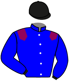 casaque portée par Lecomte D. jockey du cheval de course JAZZ ROQUE, information pmu ZETURF casaque portée par Lecomte D. jockey du cheval de course JAZZ ROQUE, information pmu ZETURF