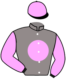 casaque portée par Riou C. jockey du cheval de course BLOUZEUR, information pmu ZETURF casaque portée par Riou C. jockey du cheval de course BLOUZEUR, information pmu ZETURF
