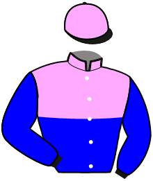 casaque portée par Bekaert D. jockey du cheval de course L'ASTRAGALE, information pmu ZETURF casaque portée par Bekaert D. jockey du cheval de course L'ASTRAGALE, information pmu ZETURF