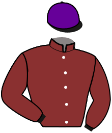 casaque portée par Sorel Hug. jockey du cheval de course IZZIE PONCELET, information pmu ZETURF casaque portée par Sorel Hug. jockey du cheval de course IZZIE PONCELET, information pmu ZETURF