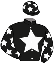 casaque portée par Nivard F. jockey du cheval de course HEXCELLENTE, information pmu ZETURF casaque portée par Nivard F. jockey du cheval de course HEXCELLENTE, information pmu ZETURF
