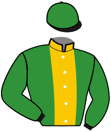 casaque portée par Martens C. jockey du cheval de course HOOPER DES CHASSES, information pmu ZETURF casaque portée par Martens C. jockey du cheval de course HOOPER DES CHASSES, information pmu ZETURF