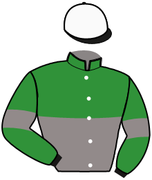 casaque portée par Grift H. jockey du cheval de course IRISH NICE ELGE, information pmu ZETURF casaque portée par Grift H. jockey du cheval de course IRISH NICE ELGE, information pmu ZETURF