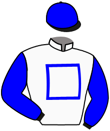 casaque portée par Bernard A. jockey du cheval de course SUCCUBA, information pmu ZETURF casaque portée par Bernard A. jockey du cheval de course SUCCUBA, information pmu ZETURF