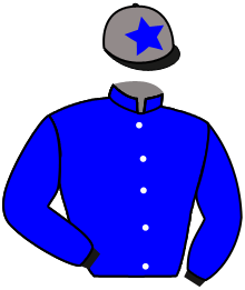 casaque portée par Demuro C. jockey du cheval de course MISTER GOKEN, information pmu ZETURF casaque portée par Demuro C. jockey du cheval de course MISTER GOKEN, information pmu ZETURF