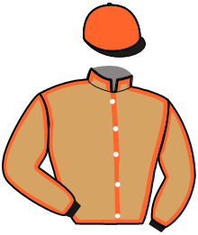 casaque portée par Ploquin Pau. Ph. jockey du cheval de course LORD DU GUELIER, information pmu ZETURF casaque portée par Ploquin Pau. Ph. jockey du cheval de course LORD DU GUELIER, information pmu ZETURF