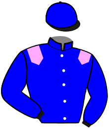 casaque portée par Jublot I. jockey du cheval de course IMOKO DU BOUILLON, information pmu ZETURF casaque portée par Jublot I. jockey du cheval de course IMOKO DU BOUILLON, information pmu ZETURF