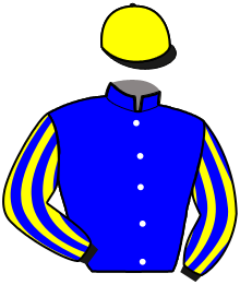 casaque portée par Feron J. Ch. jockey du cheval de course LADY FLO DE MAX, information pmu ZETURF casaque portée par Feron J. Ch. jockey du cheval de course LADY FLO DE MAX, information pmu ZETURF