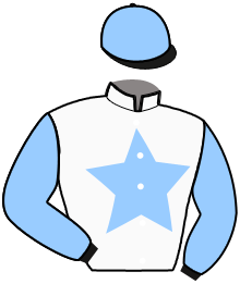 casaque portée par Calo T. jockey du cheval de course GAMIN DES PERDRIX, information pmu ZETURF casaque portée par Calo T. jockey du cheval de course GAMIN DES PERDRIX, information pmu ZETURF