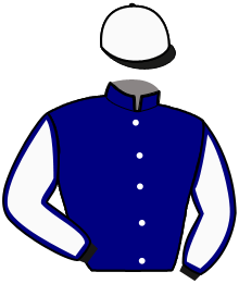 casaque portée par Mathias-maisonnette Mme Tam. jockey du cheval de course MARINA ELLIS, information pmu ZETURF casaque portée par Mathias-maisonnette Mme Tam. jockey du cheval de course MARINA ELLIS, information pmu ZETURF