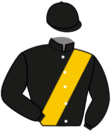 casaque portée par Mottier M. jockey du cheval de course DENCO'S GALLIANO, information pmu ZETURF casaque portée par Mottier M. jockey du cheval de course DENCO'S GALLIANO, information pmu ZETURF