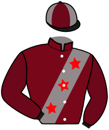 casaque portée par Guzzinati A. jockey du cheval de course ESTEREL GI, information pmu ZETURF casaque portée par Guzzinati A. jockey du cheval de course ESTEREL GI, information pmu ZETURF