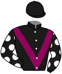 casaque portée par Claudic J. jockey du cheval de course MISSION D'ESPOIR, information pmu ZETURF casaque portée par Claudic J. jockey du cheval de course MISSION D'ESPOIR, information pmu ZETURF