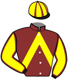 casaque portée par Julien N. jockey du cheval de course IRONIE DU BAS BOSQ, information pmu ZETURF