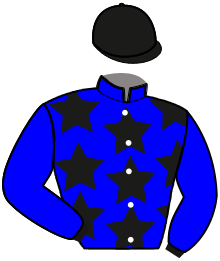 casaque portée par Lesaint J. M. jockey du cheval de course IDESIA D'ANGELY, information pmu ZETURF casaque portée par Lesaint J. M. jockey du cheval de course IDESIA D'ANGELY, information pmu ZETURF