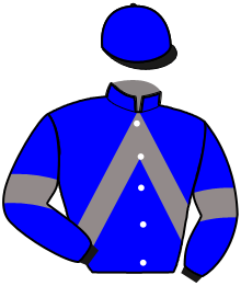 casaque portée par Oyer Mlle S. jockey du cheval de course HARCADY, information pmu ZETURF casaque portée par Oyer Mlle S. jockey du cheval de course HARCADY, information pmu ZETURF