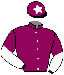 casaque portée par Guillochon J. jockey du cheval de course VENT DU REVE, information pmu ZETURF casaque portée par Guillochon J. jockey du cheval de course VENT DU REVE, information pmu ZETURF