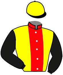 casaque portée par Bourgeais A. jockey du cheval de course NO CURE NO PAY, information pmu ZETURF