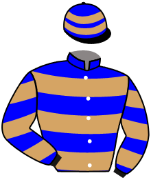 casaque portée par Molins Mme Amb. jockey du cheval de course GOLDEN GLOBE, information pmu ZETURF