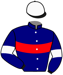 casaque portée par Rousset Y. jockey du cheval de course DAMIEN, information pmu ZETURF