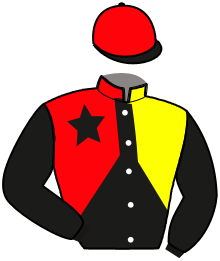 casaque portée par Ernault S. jockey du cheval de course OVER THE LIGHT AS, information pmu ZETURF