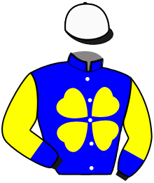 casaque portée par Rochard B. jockey du cheval de course CASH BANK BIGI, information pmu ZETURF