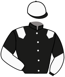 casaque portée par Mayeur R. jockey du cheval de course HUPECA DE THAIX, information pmu ZETURF