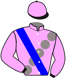 casaque portée par Samaria Q. jockey du cheval de course LASTDREAM D'OROUX, information pmu ZETURF casaque portée par Samaria Q. jockey du cheval de course LASTDREAM D'OROUX, information pmu ZETURF