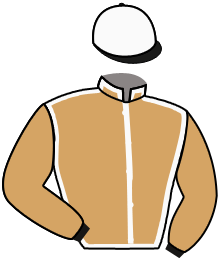 casaque portée par Gauffenic N. jockey du cheval de course SANNTAMA D'OROUX, information pmu ZETURF
