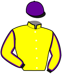 casaque portée par Bazire N. jockey du cheval de course LOUKY DE BAULON, information pmu ZETURF