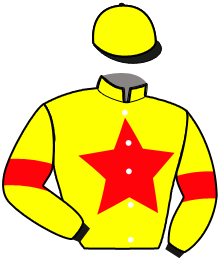 casaque portée par Moquet J. F. jockey du cheval de course LADY COOL, information pmu ZETURF