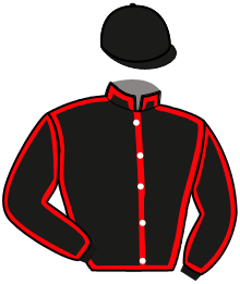 casaque portée par Gontier B. jockey du cheval de course LE DUC DE PILLIERE, information pmu ZETURF
